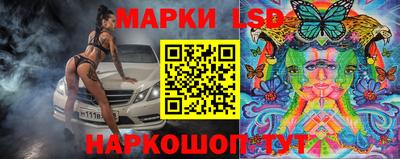 Альфа ПВП Обь