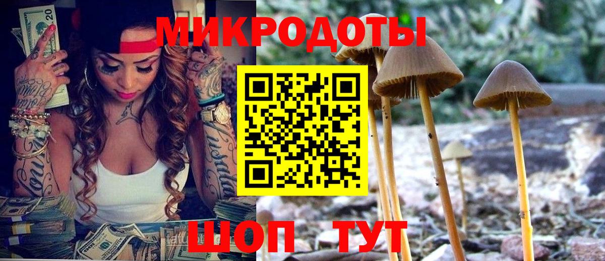 Галлюциногенные грибы GOLDEN TEACHER Спасск-Дальний