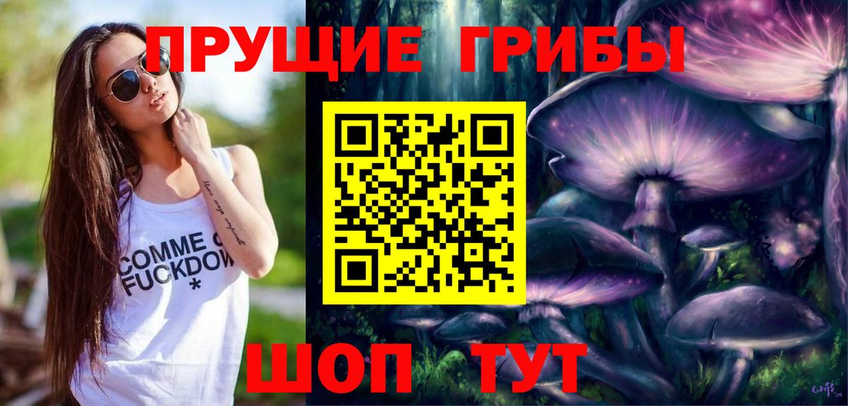 Псилоцибиновые грибы Psilocybe  Вход с VPN  Спасск-Дальний 